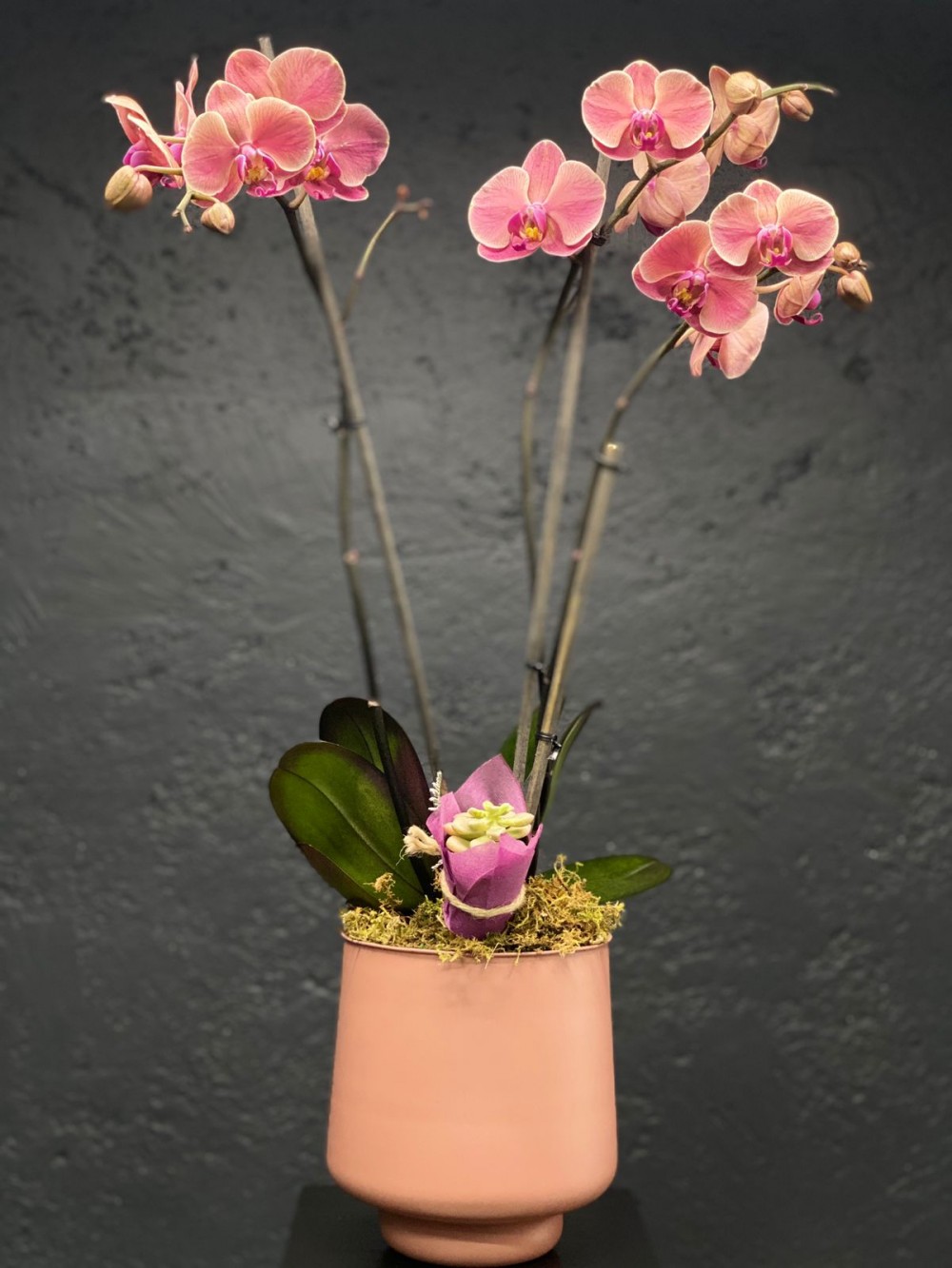 Orquídea decorada