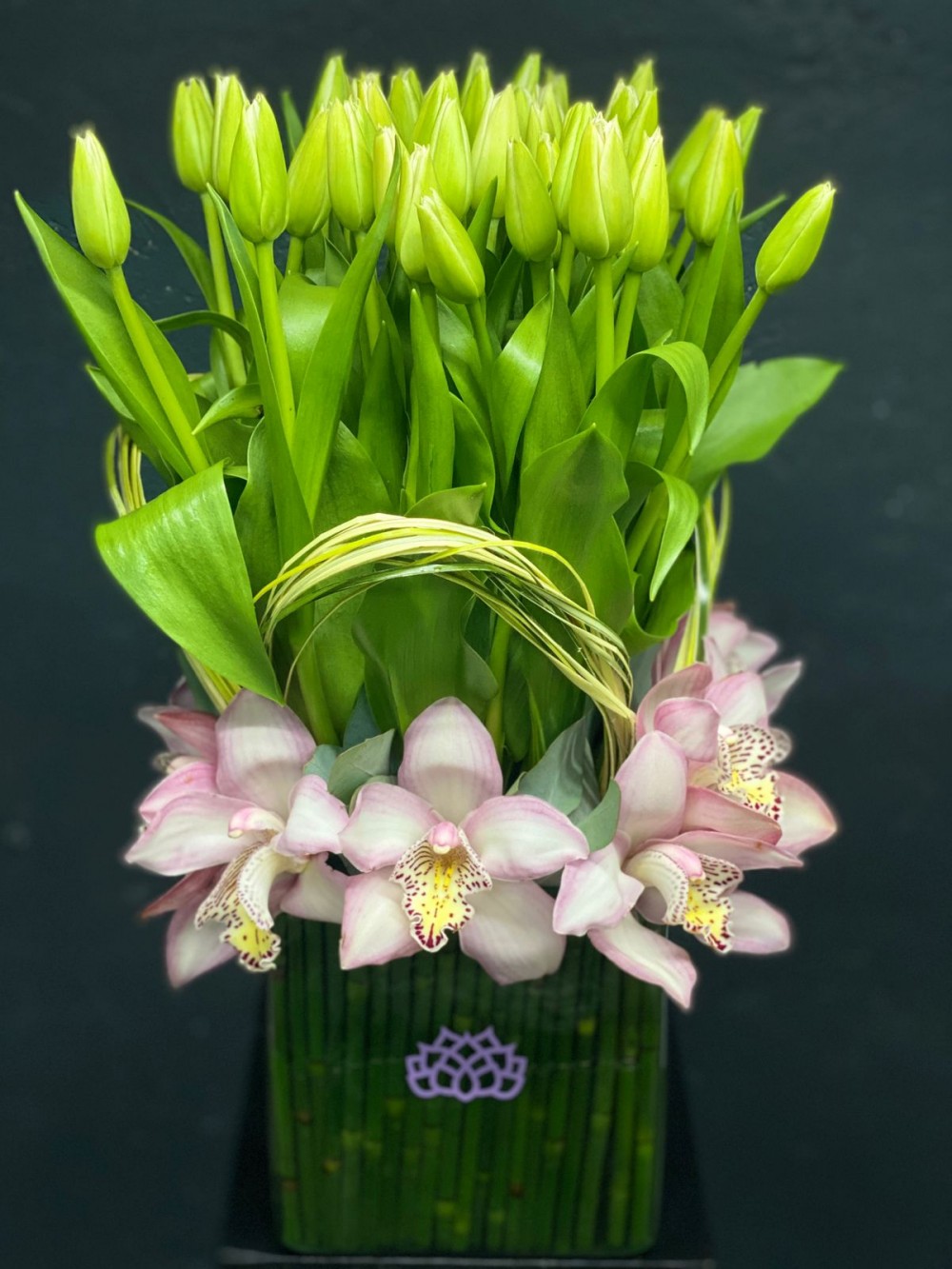 Best - Tulipanes