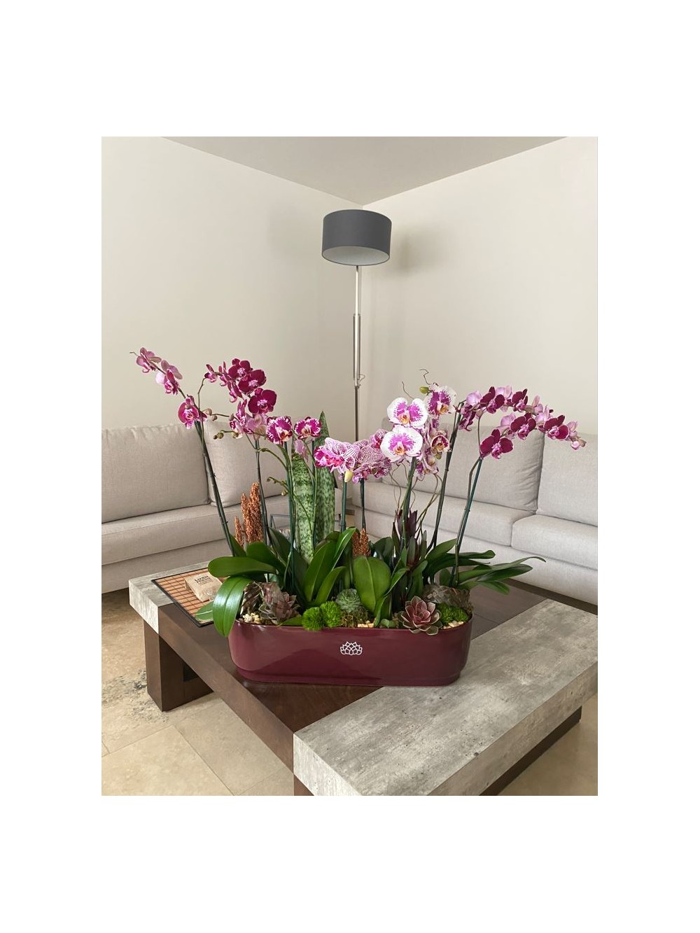 Nearly Natural Arreglo floral de orquídeas y suculentas